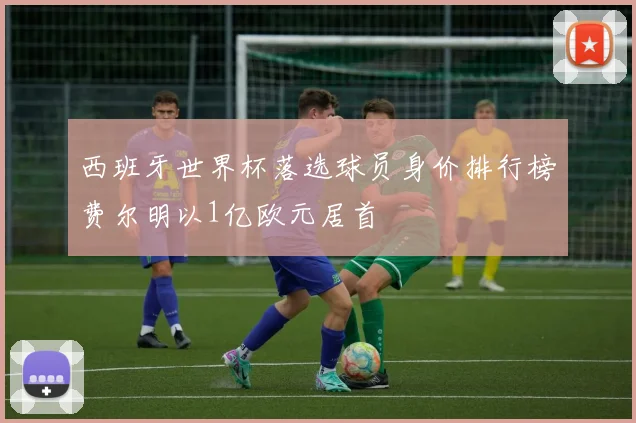 西班牙世界杯落选球员身价排行榜费尔明以1亿欧元居首