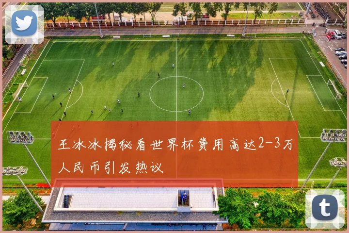 王冰冰揭秘看世界杯费用高达2-3万人民币引发热议
